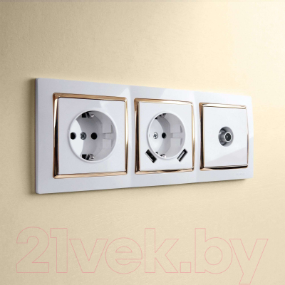 Розетка Werkel W1184001