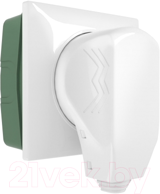 Розетка Werkel W1189201 с вилкой