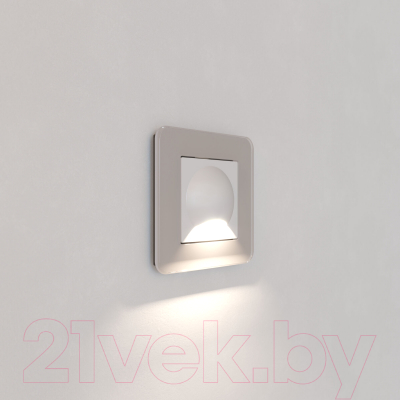 Встраиваемая подсветка Werkel W1154401