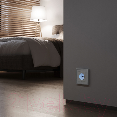 Розетка Werkel W1171461