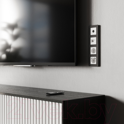 Розетка Werkel W1171561