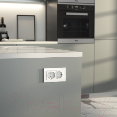 Розетка Werkel W1172061