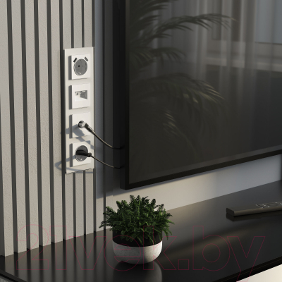 Розетка Werkel W1183061