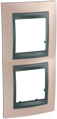 Рамка для выключателей и розеток Schneider Electric Unica MGU66.004V.296 - фото