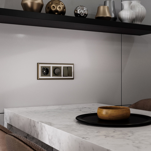 Лицевая панель Werkel W1149012