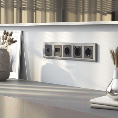 Розетка Werkel W1171164