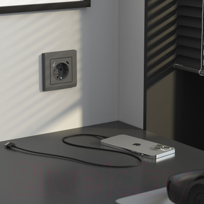 Розетка Werkel W1171764