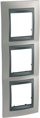 Рамка для выключателей и розеток Schneider Electric Unica MGU66.006.239 - фото