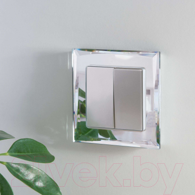 Выключатель Werkel W1122006