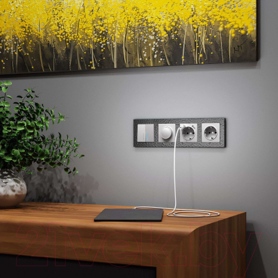 Диммер Werkel W1142006