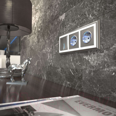 Розетка Werkel W1171406