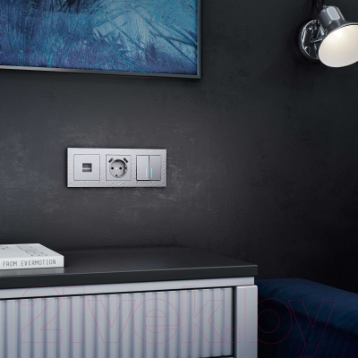 Розетка Werkel W1171506