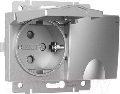 Розетка Werkel W1172206 - фото