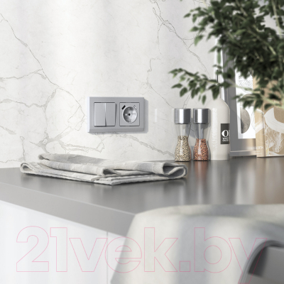 Выключатель Werkel W1122065