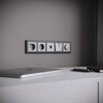 Диммер Werkel W1142065