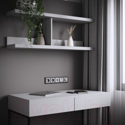 Розетка Werkel W1171765