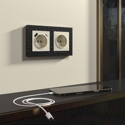 Розетка Werkel W1171303