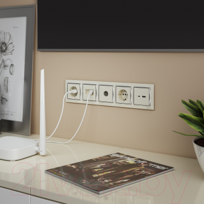 Розетка Werkel W1171303