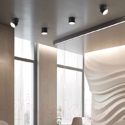 Точечный светильник Wolta WSL-GX53/01BL