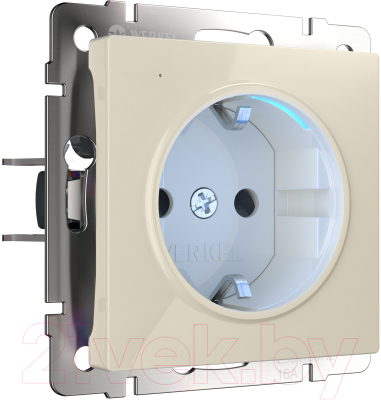 Розетка Werkel W1171403 - фото