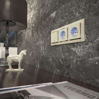 Розетка Werkel W1171403