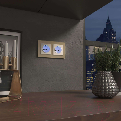 Розетка Werkel W1171403