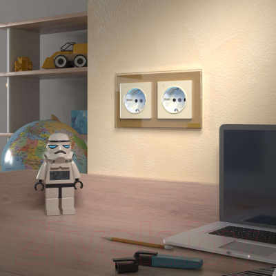 Розетка Werkel W1171403