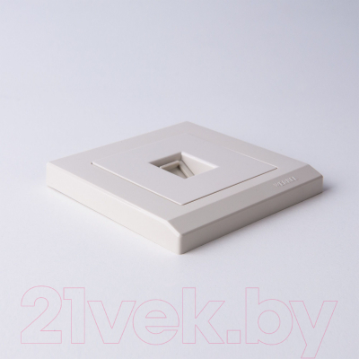 Розетка Werkel Ethernet RJ-45 / W1181003