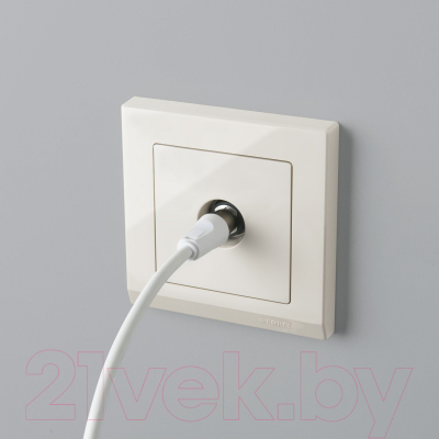 Розетка Werkel W1183003