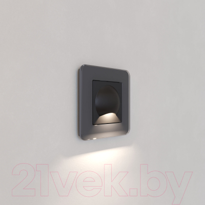 Встраиваемая подсветка Werkel W1154408