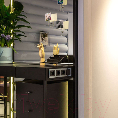 Розетка Werkel W1171308