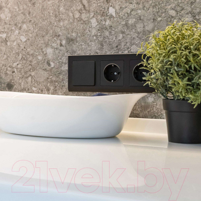 Розетка Werkel W1171308