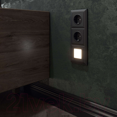 Розетка Werkel W1171308