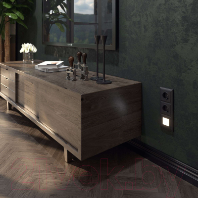 Розетка Werkel W1171308