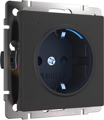 Розетка Werkel W1171408 - фото
