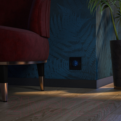 Розетка Werkel W1171408