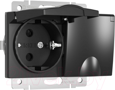 Розетка Werkel W1172208 - фото