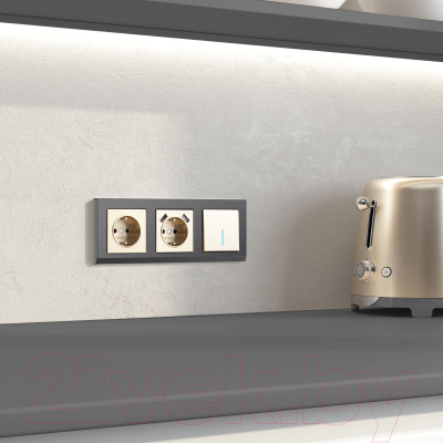 Выключатель Werkel W1110111