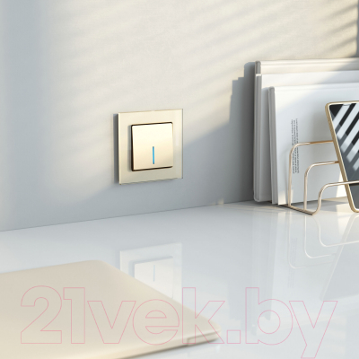 Выключатель Werkel W1110111