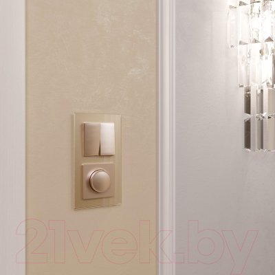 Диммер Werkel W1142011