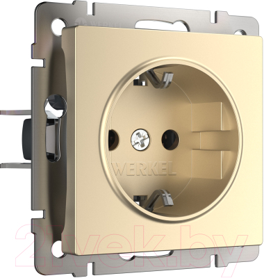 Розетка Werkel W1171111 - фото