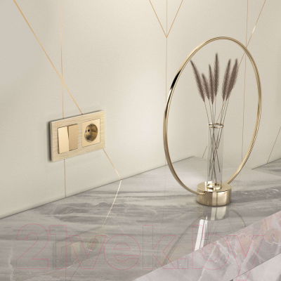 Розетка Werkel W1171111