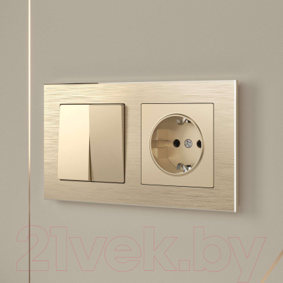 Розетка Werkel W1171111