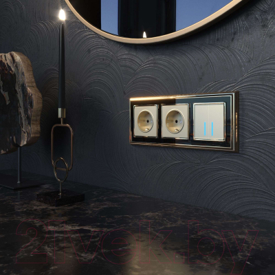 Розетка Werkel W1171111