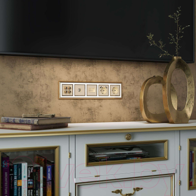 Розетка Werkel W1171111