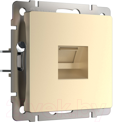 Розетка Werkel Ethernet RJ-45 / W1181011 - фото