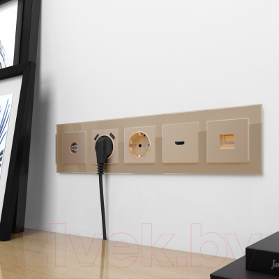 Розетка Werkel Ethernet RJ-45 / W1181011