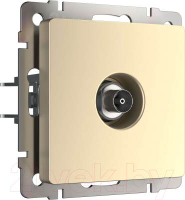 Розетка Werkel W1183011 - фото