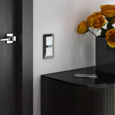 Выключатель Werkel W4520001 Сенсорный двухклавишный