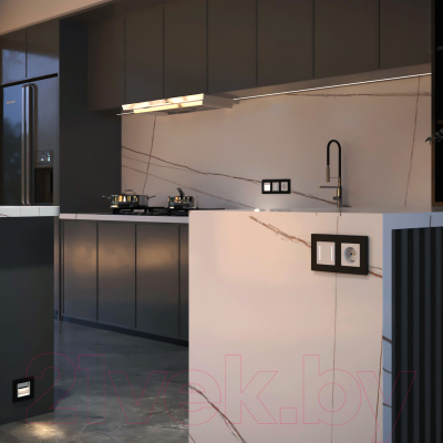 Выключатель Werkel W4522001 Сенсорный двухклавишный